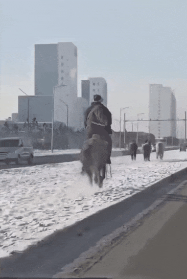 흔한 몽골의 도로 상황 - 꾸르